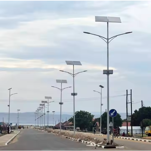 Complete solar street light components diagram